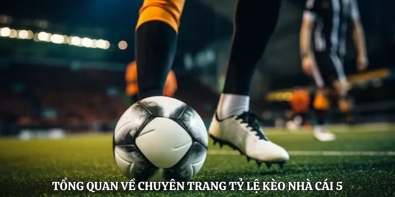 Tổng quan về chuyên trang tỷ lệ Kèo Nhà Cái 5